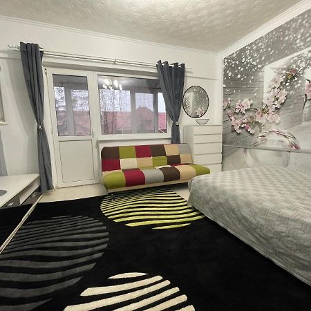 Central Colors Studio Петрошани Экстерьер фото
