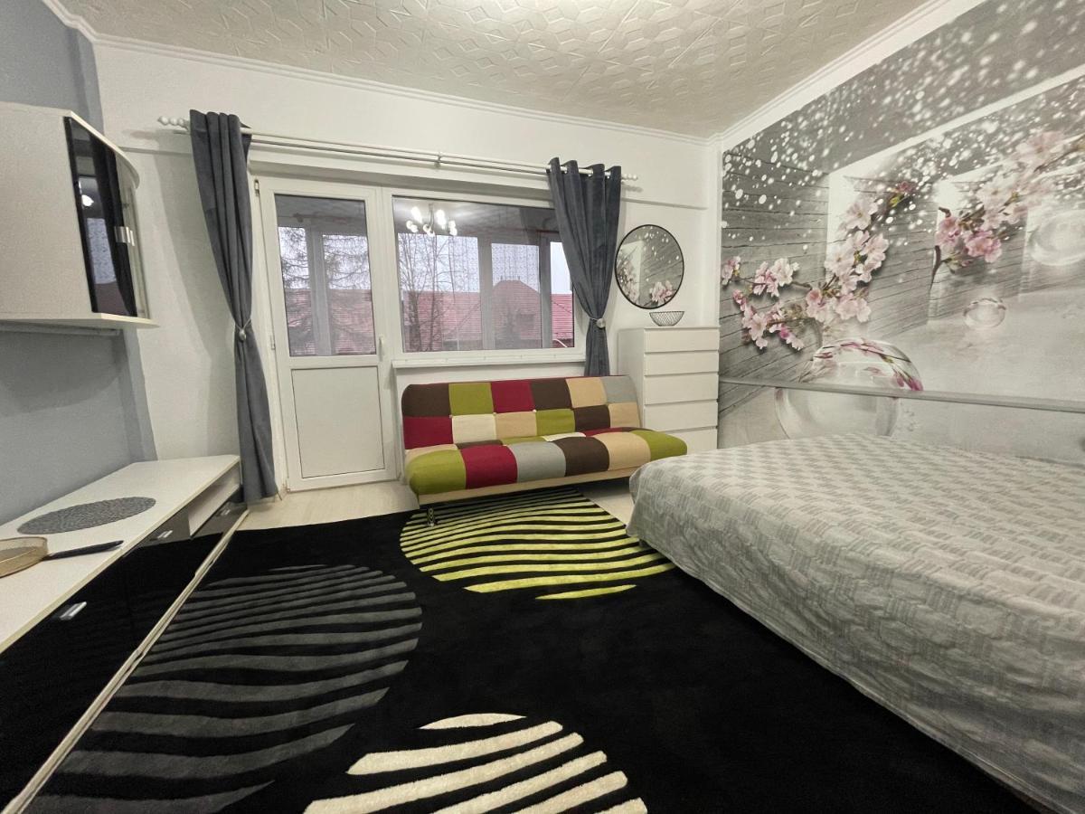 Central Colors Studio Петрошани Экстерьер фото
