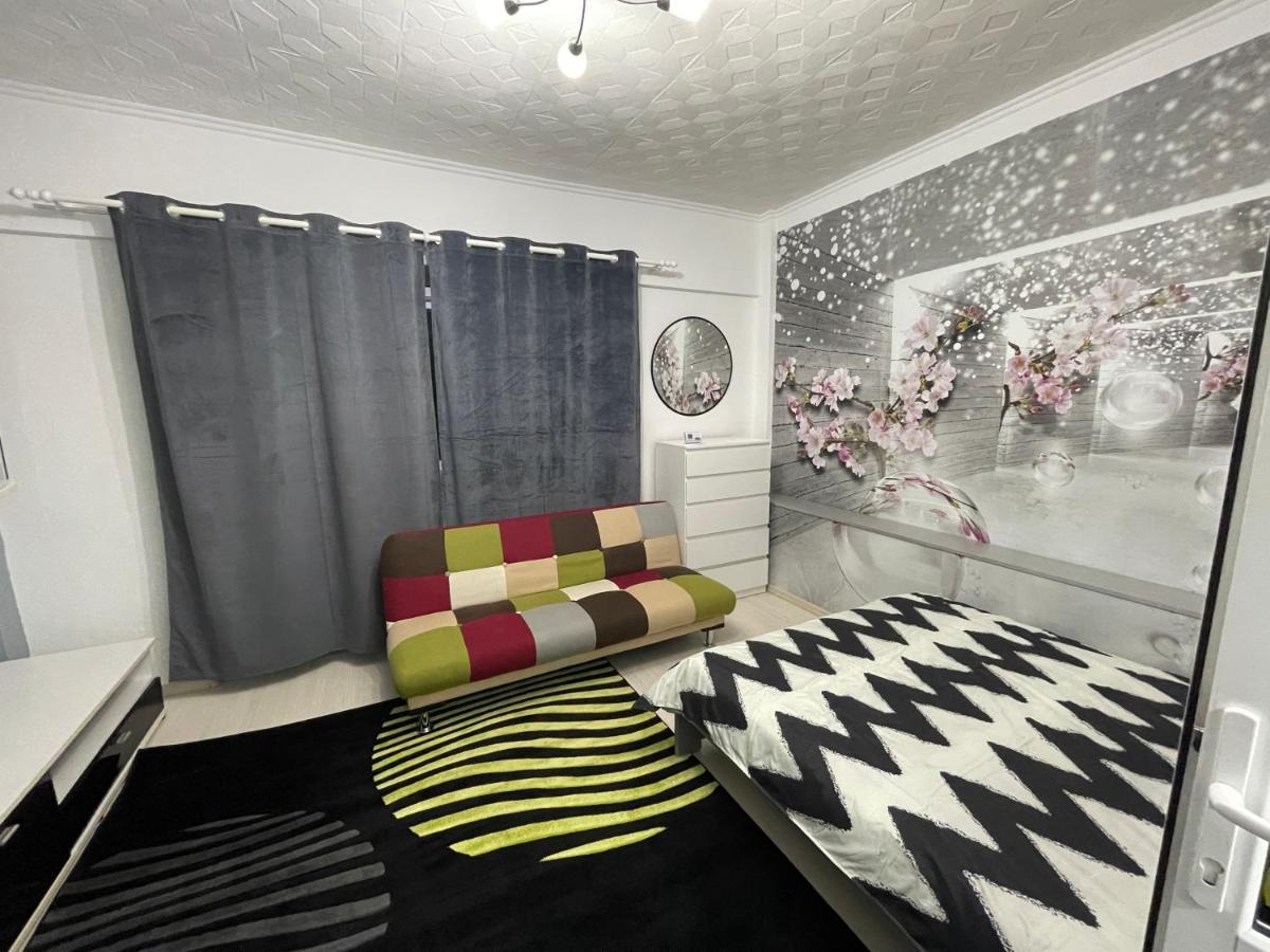 Central Colors Studio Петрошани Экстерьер фото